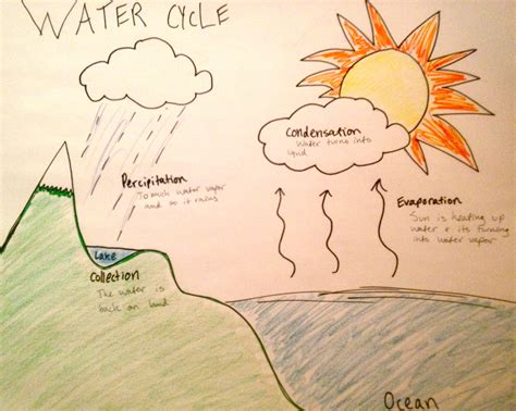 Draw A Diagram To Show The Water Cycle Water Cycle Diagram