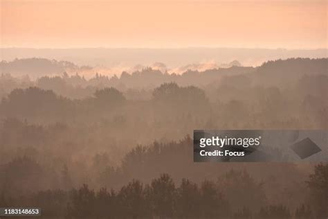 Alam Pedja Nature Reserve Photos and Premium High Res Pictures - Getty ...