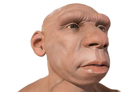 Realistic Neanderthal Stock Photos - Free & Royalty-Free Stock Photos ...