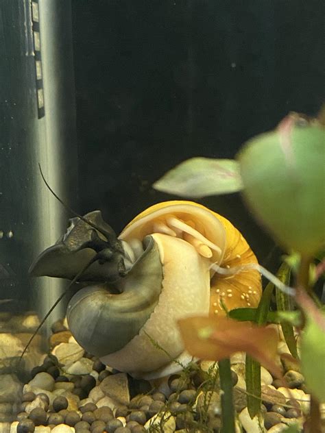 Are they doin the do🤣? Also does anyone know what the white dots are on