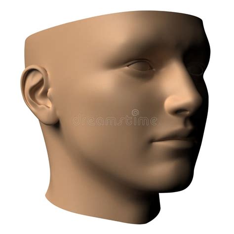 blank white female head side  front view stock illustration