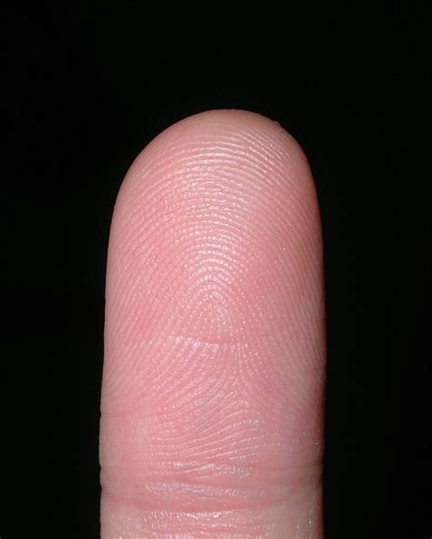 Finger Free Photo Download | FreeImages