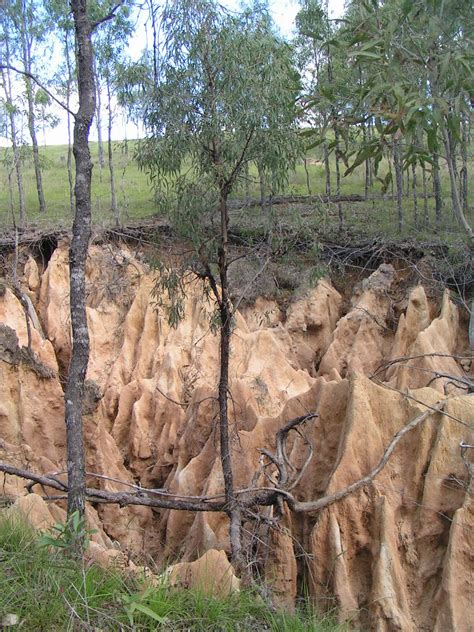 Stream and River Restoration: Gully erosion