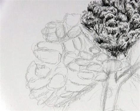 How to Draw a Tree with Leaves in a Surprisingly Familiar Way - Let's ...