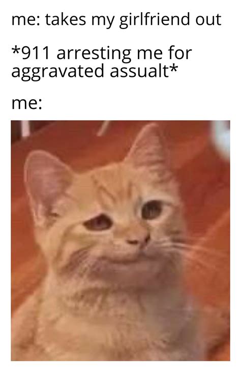 can you handle this cat's swag? : r/dankmemes