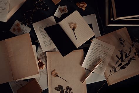 verse definition  examples