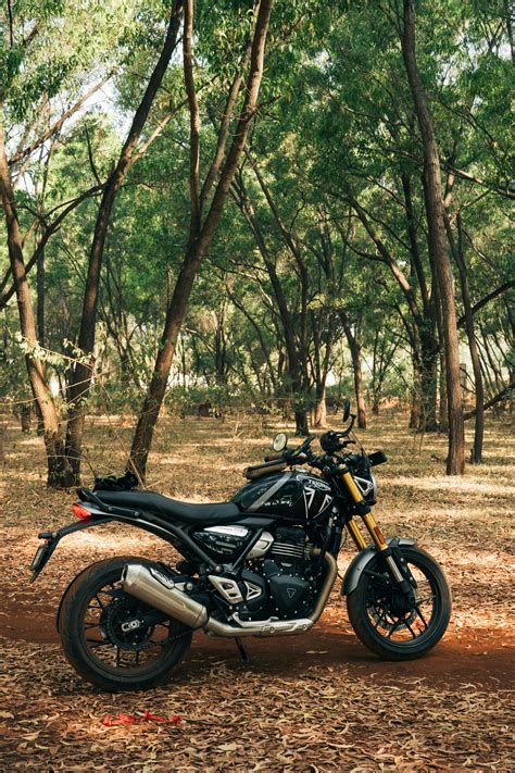 Classic Motorcycle in Lush Greenery Setting · Free Stock Photo