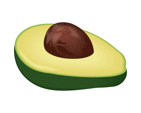 half avocado vegetable icon 10968493 Vector Art at Vecteezy
