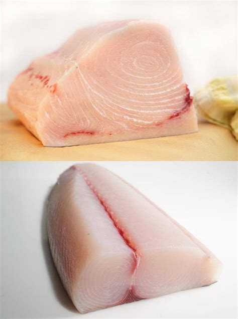 hawaii ono  swordfish  lbs honolulu fish