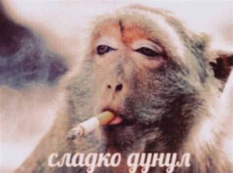 Хлеб с говном | ВКонтакте
