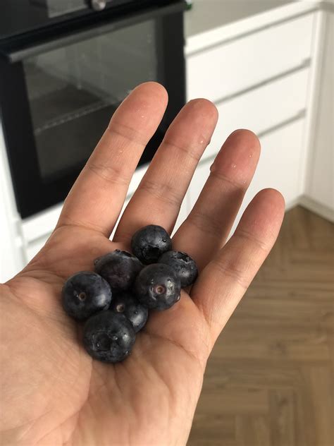 Купить голубику в Fruitonline