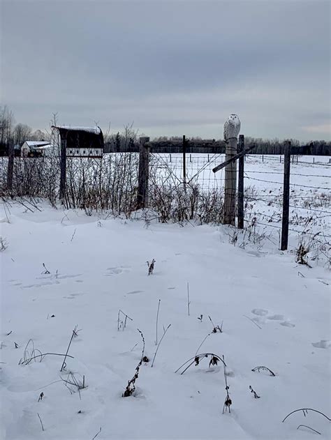 7299 best MN images on Pholder | Amateur Room Porn, Minnesota and Earth